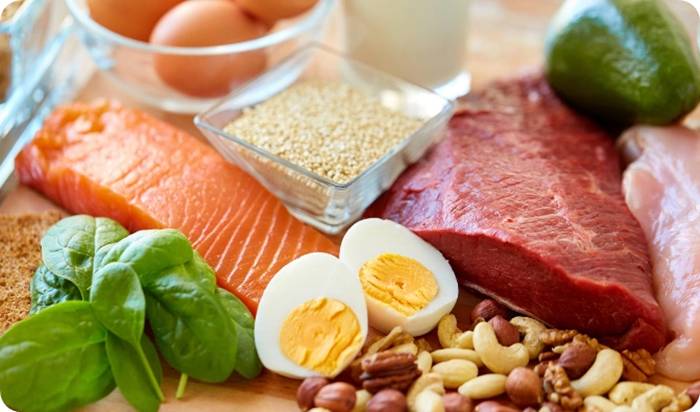 계란, 연어, 소고기, 닭가슴살 등 고단백 식품 구성 (High-protein food selection including eggs, salmon, beef, and chicken breast)