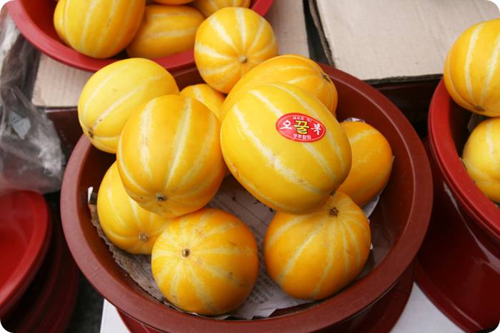 당뇨 환자 참외 시장에서 판매 중인 신선한 참외 한가득 (Fresh Korean chamoe melons on display at a market)
